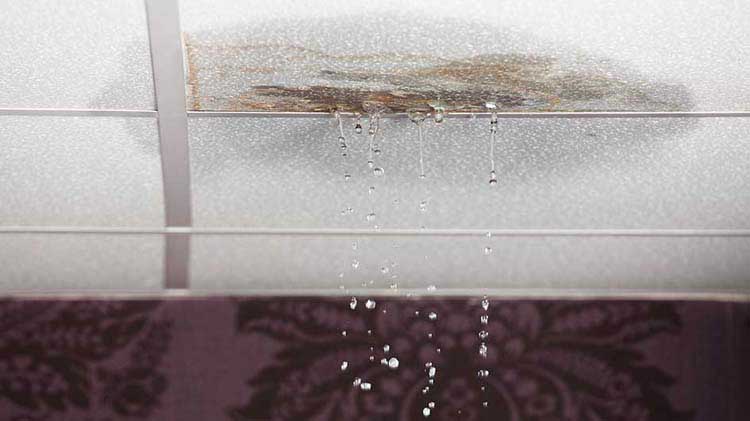 Drop ceiling tile leaking water.