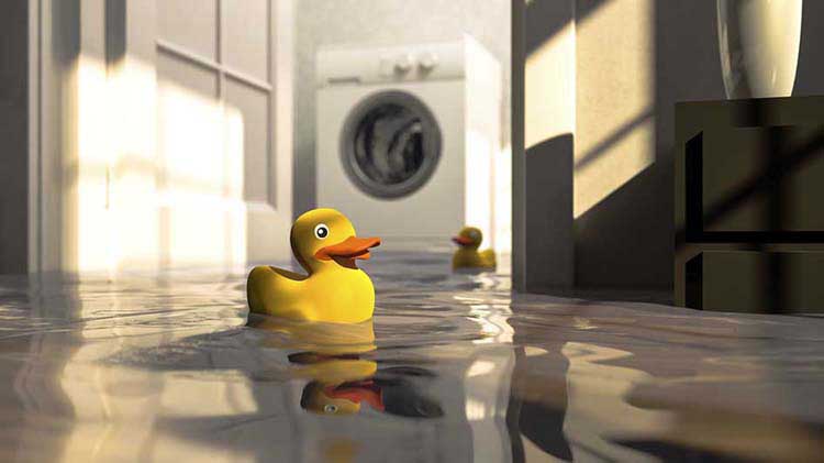 Patitos de hule flotando sobre el agua de un sótano inundado.