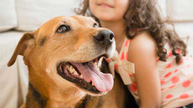 A young girl sits with her dog.