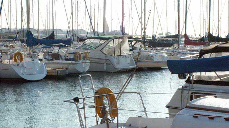 Boats on water in a marina.