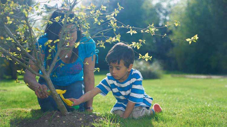 Niño plantando un árbol con su madre.