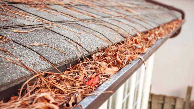 Gutter Cleaning Company Near Me Woodbridge Va