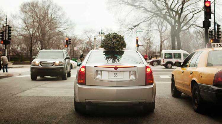 Car driving with a Christmas tree on top.