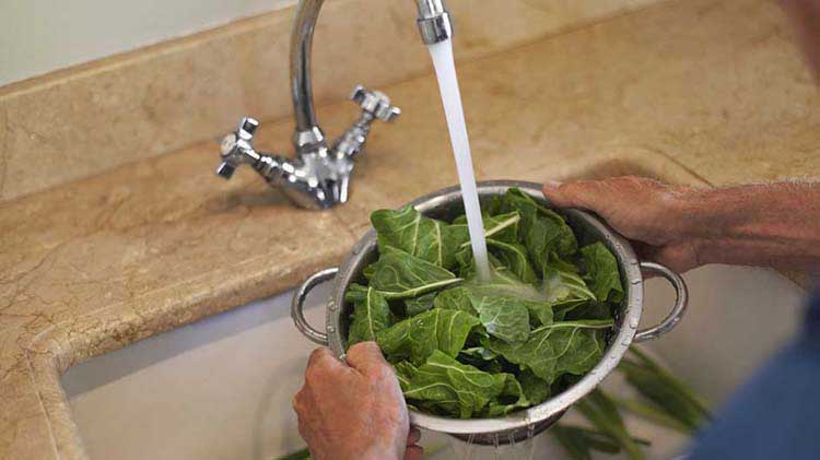 Rinsing greens in a colander with tap water from the kitchen sink