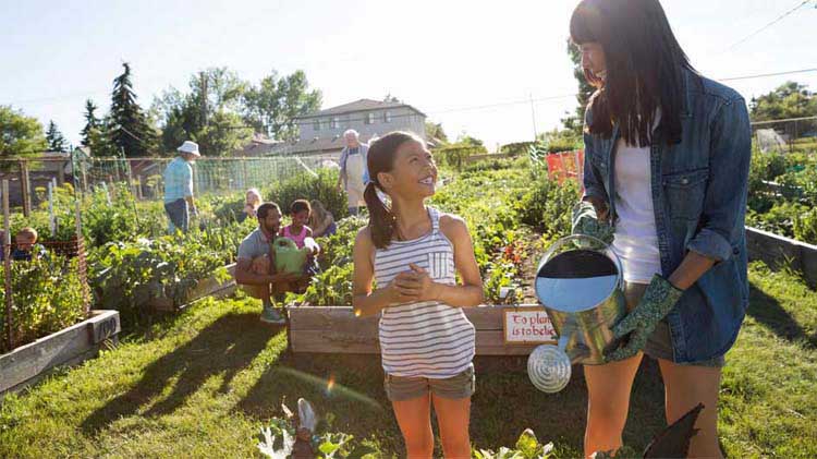 Community and Urban Gardening