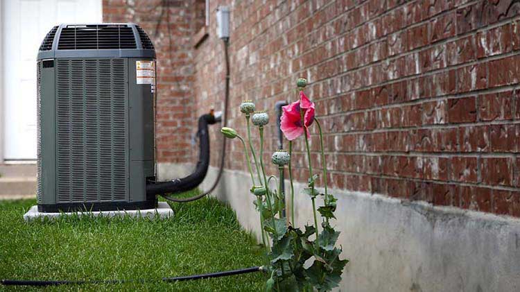 Flowers and an air conditioning unit outside a brick house.