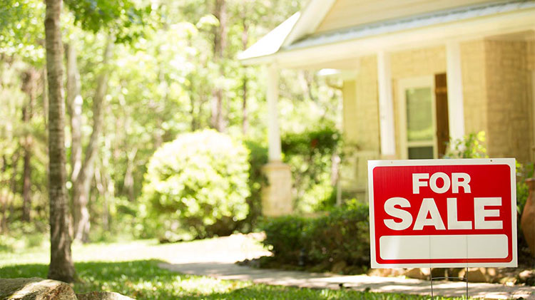 Do You Need a Real Estate Agent to Buy a House