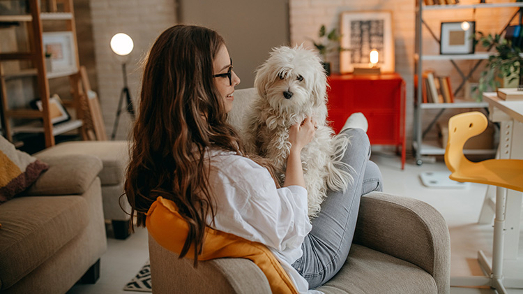 Young woman holding her dog while sitting in her office.