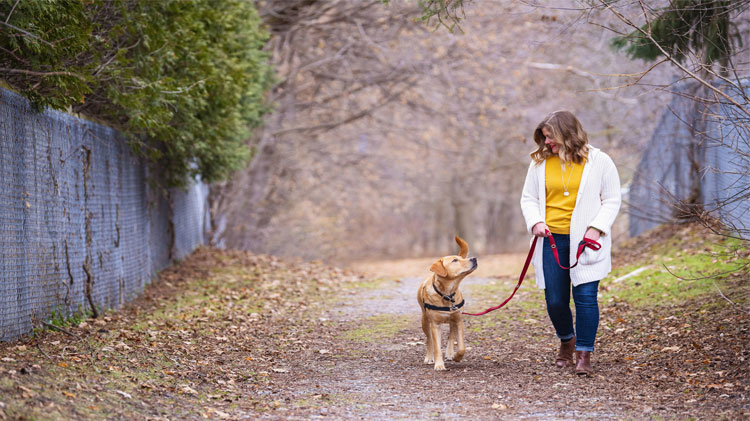 Woman walking her dog with a dog leash and harness.