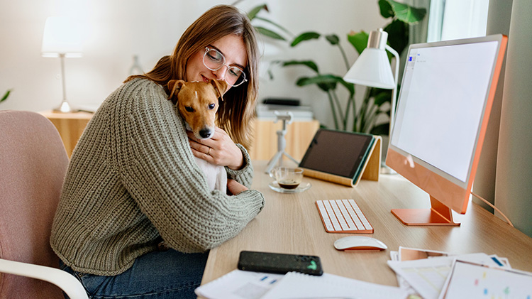 Young woman studying at home with her Jack Russell puppy.