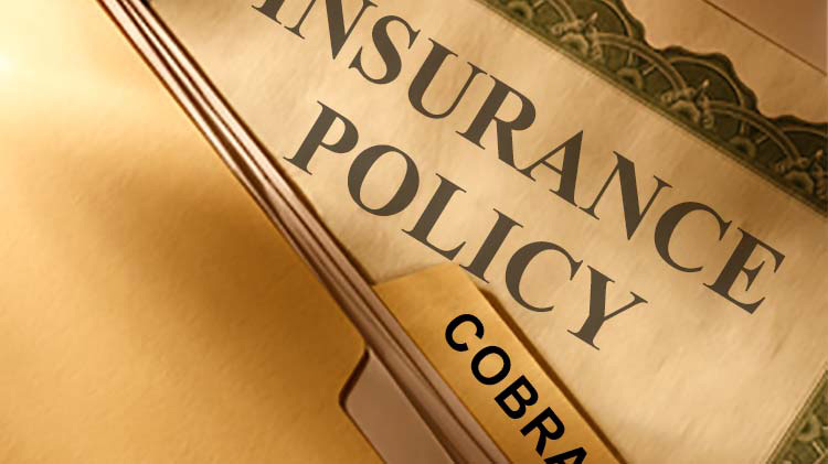 Cobra insurance policy