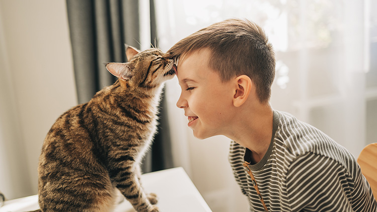 Pet cat licking young boy’s forehead.