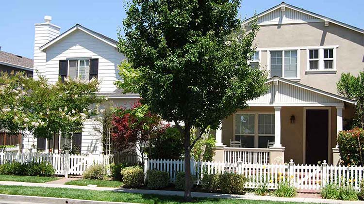 Can I Throw Neighbors Tree Branches Back: Legal Insights