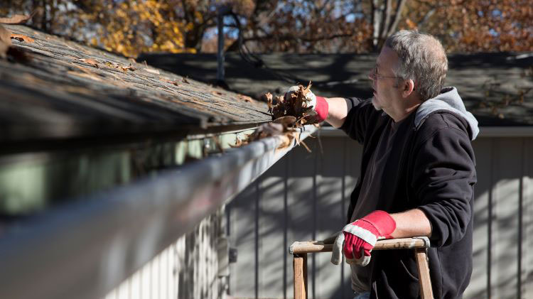 Leaking Roof: Here's What to Do