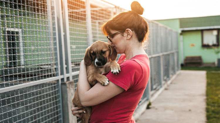 A Guide to Responsible Pet Adoption | State Farm®