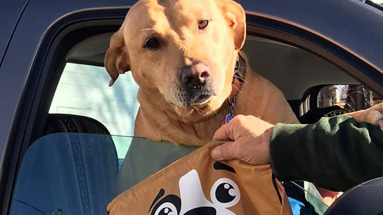 Dog receiving a care package from the Humane Society of the United States.