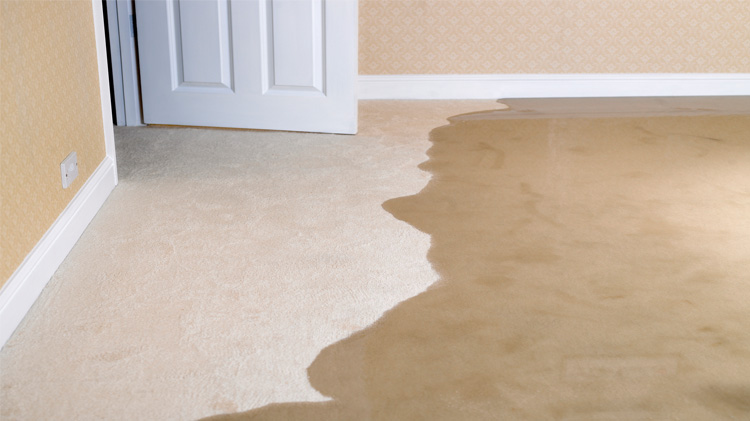 Water on the floor of a basement