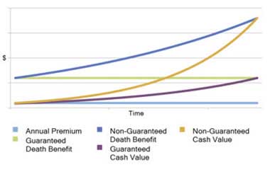 Whole life insurance policy dividends used graph