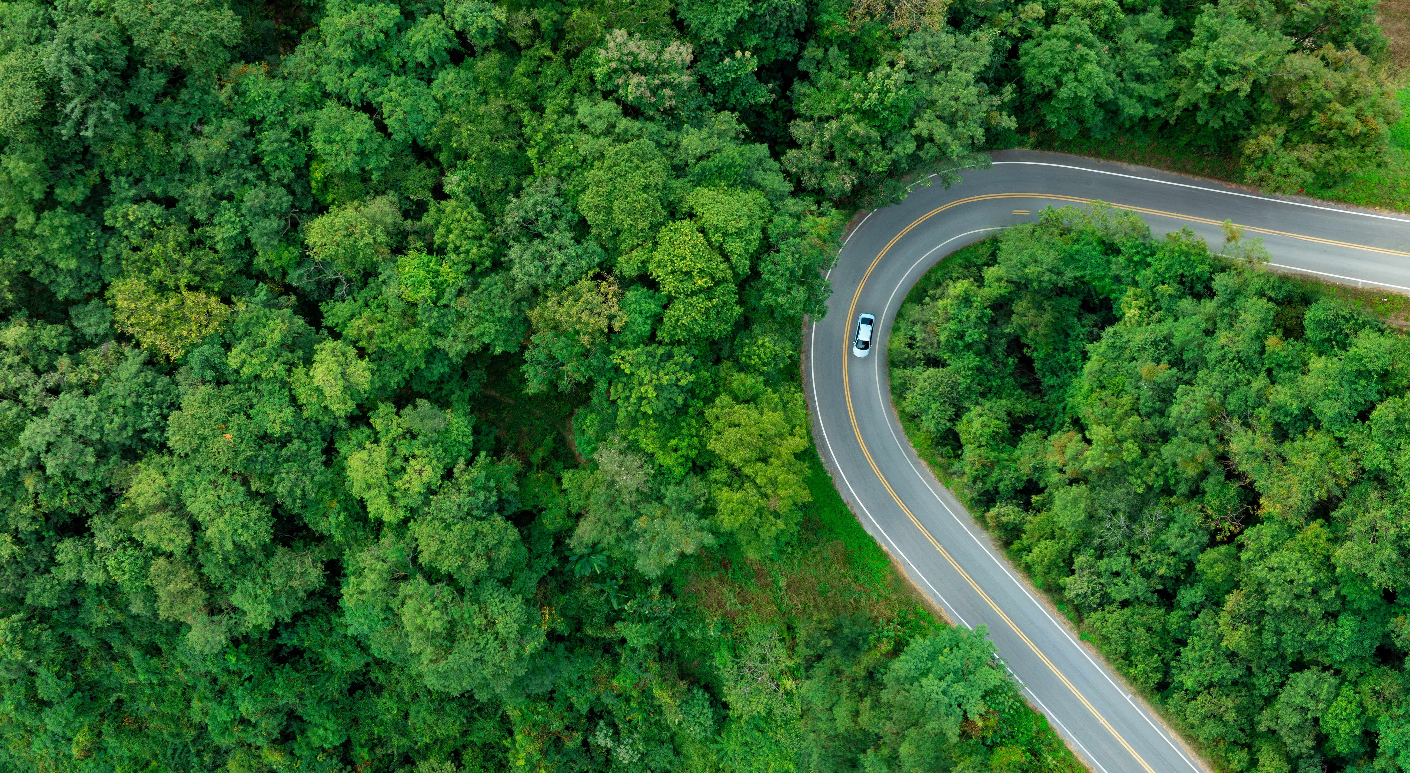 Top view of a white electric car driving  dark green forest road, which is an elevated road that surrounds natural forest.