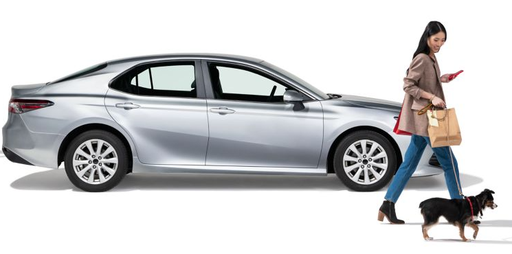 A woman walks her dog past a parked grey sedan.