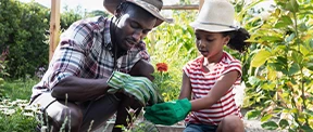 An African American man gardens with a young black girl. Both wear hats and green gardening gloves as they plant an orange flower.