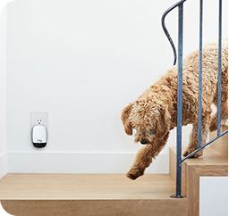 Keeping policyholders safe with Ting