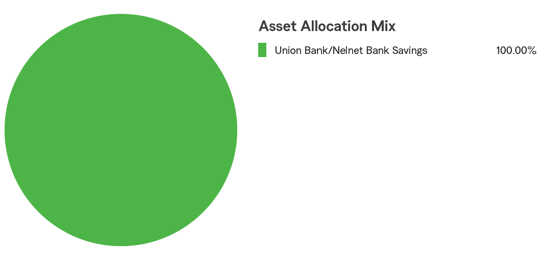 Pie Chart illustrating the Asset Allocation for the State Farm® 529 Savings Plan for the Bank Savings Static Option. Union Bank/Nelnet Bank Savings 100%.