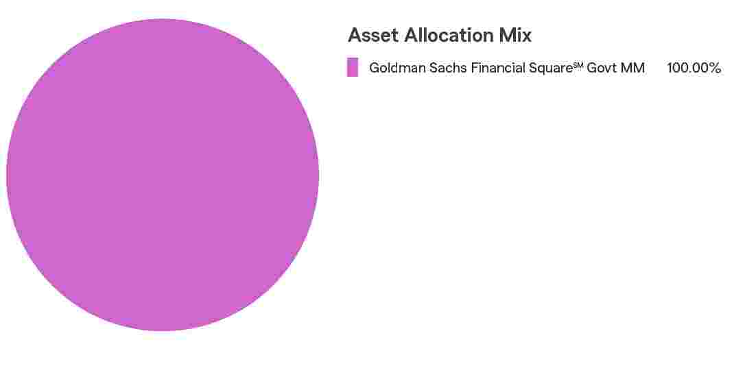 Pie Chart illustrating the Asset Allocation Mix for the State Farm® 529 Savings Plan - Money Market Static Option. Goldman Sachs Financial Square Govt MM 100.00%