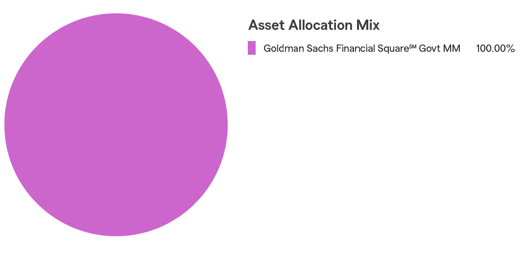 Pie Chart illustrating the Asset Allocation for the State Farm® 529 Savings Plan for the Money Market Static Option. Goldman Sachs Financial Square℠ Govt MM 100%.