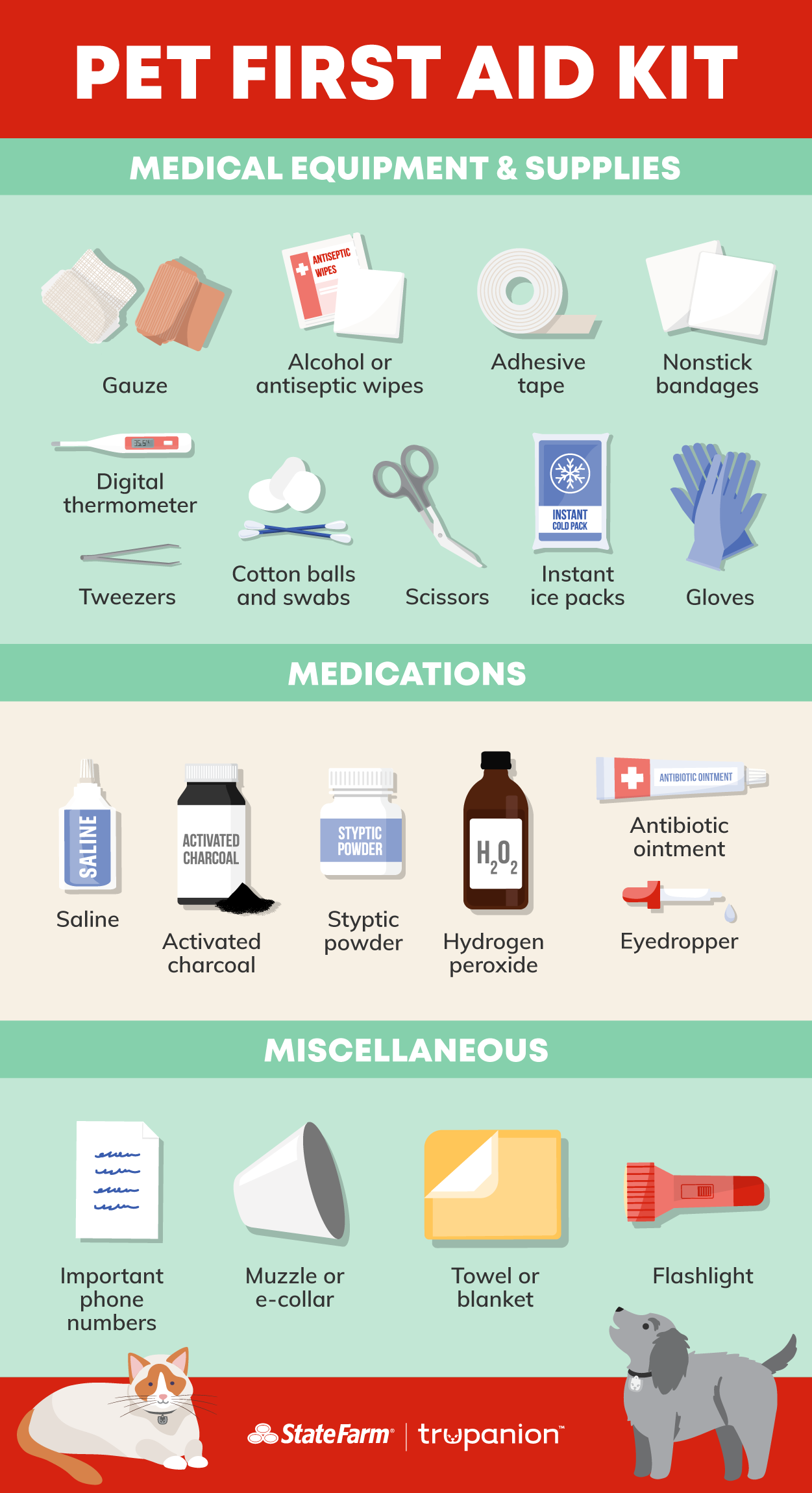 Infographic listing supplies to include in a pet first aid kit.